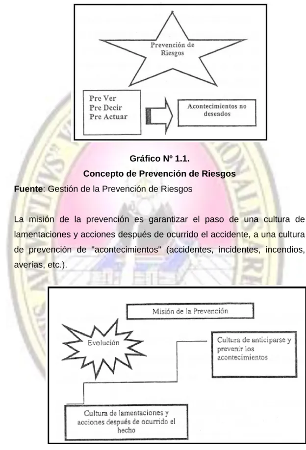 Gráfico Nº 1.1. 