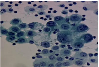 Figura 1.2. Muestra de células serosas extraídas de las glándulas submandibulares humanas
