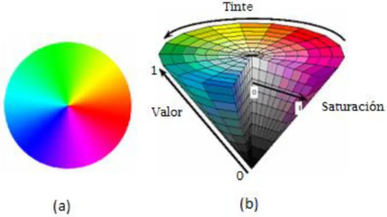 Figura 1.5.Representación del espacio HSV, (a) rueda cromática, (b) sólido del modelo de color HSV 