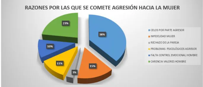 Figura 12 Razones por las que se comete agresión a la mujer 