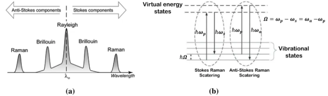 Figure 2.7: Spectrum of the scattering phenomena in an optical fiber [33] (a) and energy-level diagram of the stimulated Raman scattering process (b).