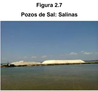 Figura 2.7  Pozos de Sal: Salinas 