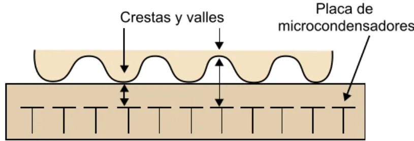 Figura 3. Sensor capacitivo