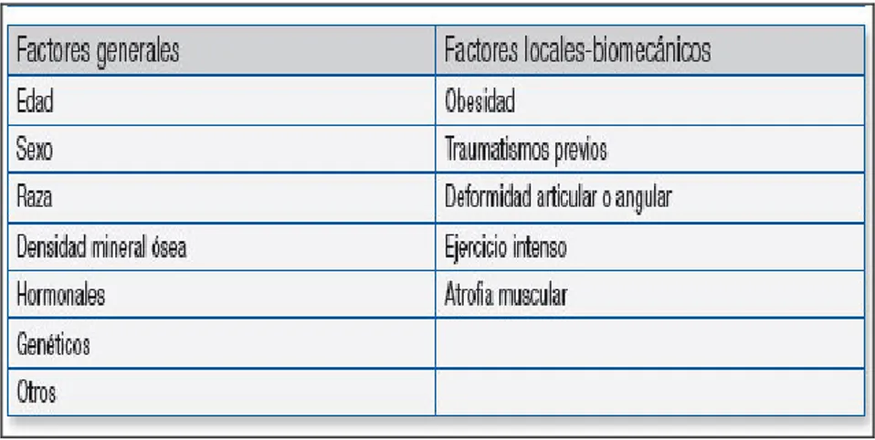Figura 4: Factores de riesgo de la artrosis. (15) 