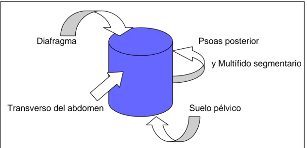 Figura 7: Componentes del Core Stability / Powerhouse 