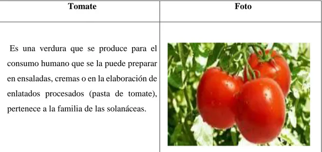Figura 4. Descripción y figura de cultivo de tomate. Información adaptada de Google. Elaborado por  Moran Villamar Liliana Pamela 