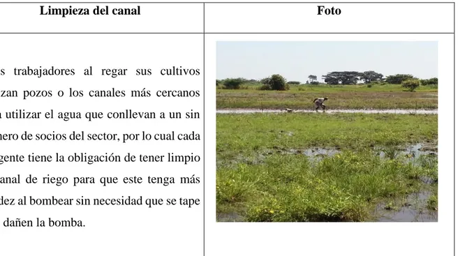 Figura 9. Descripción y figura de limpieza de canal. Información adaptada de Asociación Lcdo