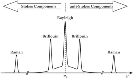 Figure 2.5: Different spectral components arisen from scattered light in an inhomogeneous medium.