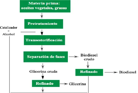 Figura 1.3. Representación esquemática del proceso general para la obtención de  biodiesel 