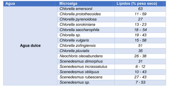 Tabla 1.8. Cantidad de lípidos (% peso seco) producidos por las microalgas 