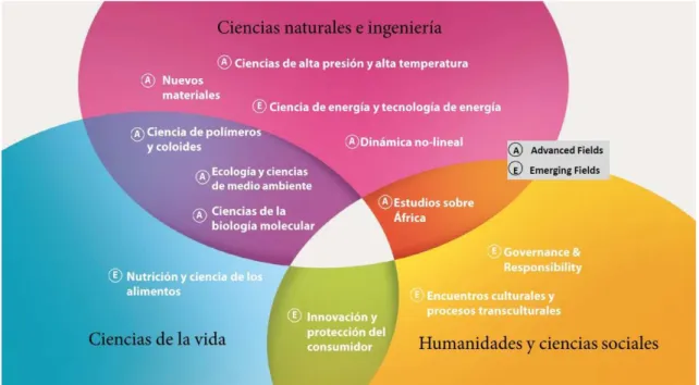 Figura 1: Ámbitos de Especialización de la Universidad de Bayreuth 15