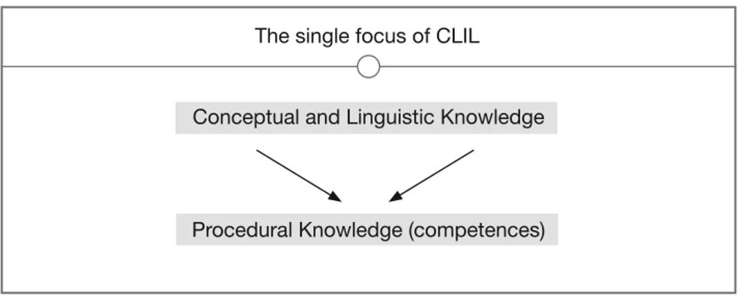 Figure 1: The single focus of CLIL