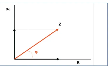 FIGURA  5.  REPRESENTACIÓN  GRÁFICA  DE  LOS  COMPONENTES  DE  LA  BIOIMPEDANCIA. Si en el eje de abscisas se representa la resistencia (R) y en el eje  de ordenadas la reactancia (Xc), la impedancia es el resultado de la interacción entre  las  dos  resis