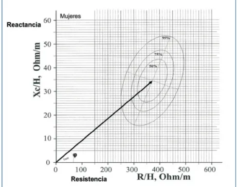 FIGURA  11    REPRESENTACIÓN  GRÁFICA  DEL  ANÁLISIS  DE  BIOIMPEDANCIA  VECTORIAL. 