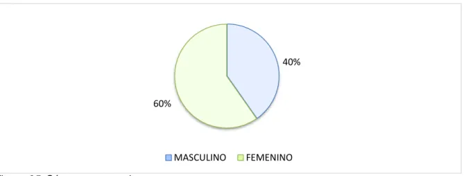 Figura  25. Género encuestados. 