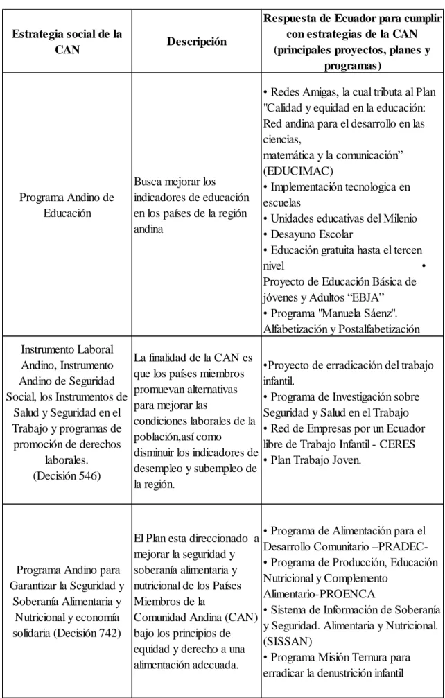 Figura 9 Programas sociales de la CAN ejecutados por Ecuador (continuación) 