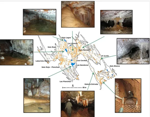 Figura 4. Panel con fotografías de las salas y galerías más representativas de la cueva de Castañar