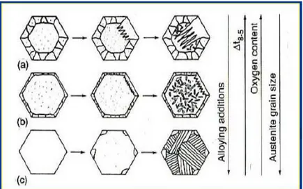 Figura 1.15. Representación esquemática del efecto de los diferentes factores  en la formación de la ferrita acicular [30]