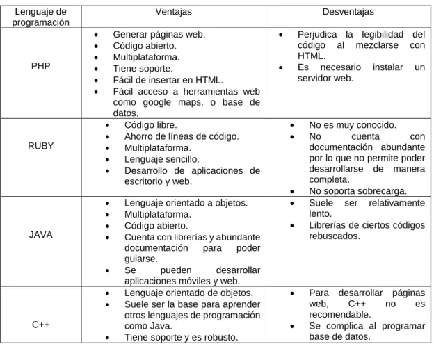 CUADRO N°  3: LENGUAJE DE PROGRAMACIÓN 