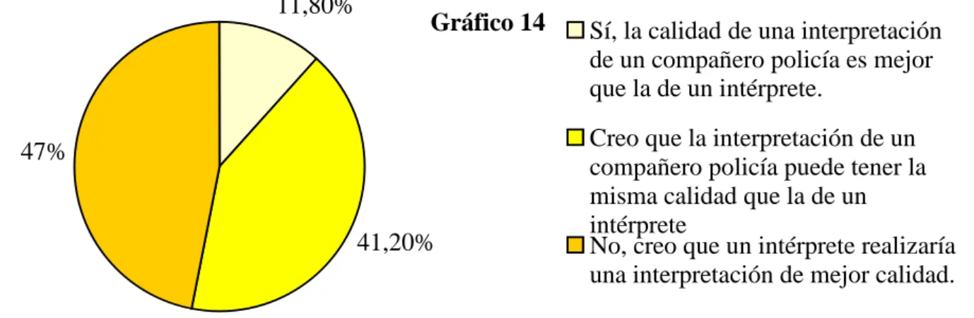Gráfico 13