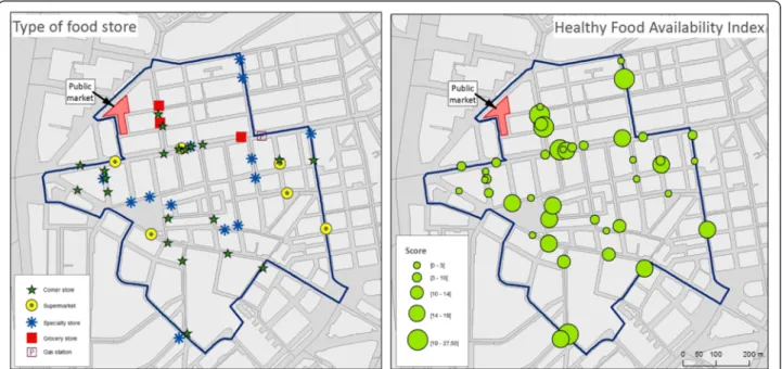 Fig. 3 Food environment results in the study area (12 census sections), including type of food stores (left) and their healthy food availability index scores in quintiles (right)