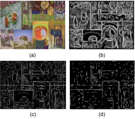 Figure 2.30: Example of edge detection for a first challenge of the IMAG- IMAG-INATION CAPTCHA (Zhu et al., 2010a)