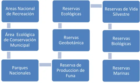 Ilustración 2. Categoría de Áreas Protegidas en  Ecuador 