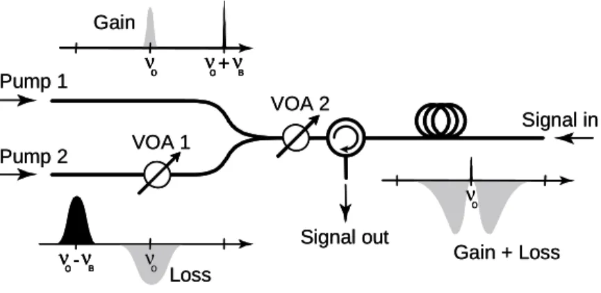 Figure 2 shows a schematic diagram of the experimental set-up used to demonstrate the zero- zero-gain delays