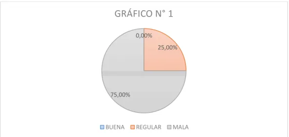 GRÁFICO N° 1