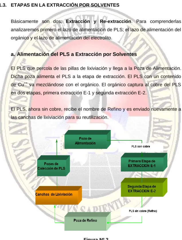 Figura Nº 2  Circuito de PLS 