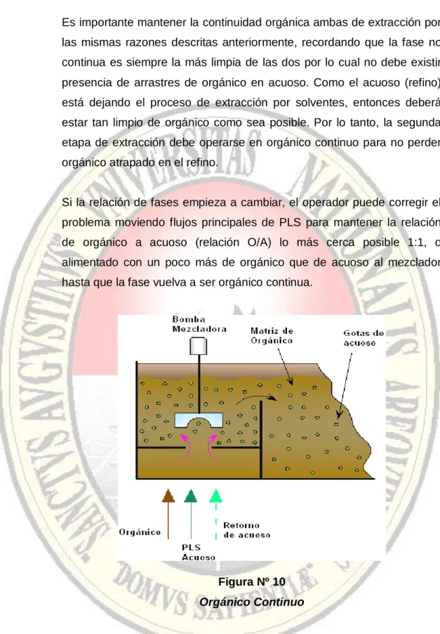 Figura Nº 10  Orgánico Continuo 