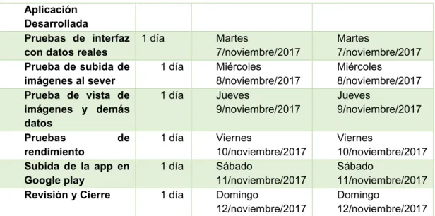 Gráfico 8 Burndown Chart 