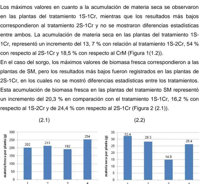Figura 2. Acumulación de  materia fresca  y seca total en el cultivo del sorgo, (2.1) BFT-S Biomasa  fresca total y (2.2) MST-S Materia seca total del sorgo 