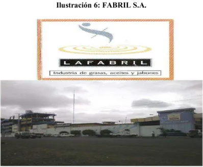 Ilustración 6: FABRIL S.A.