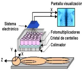 Figura 2: Esquema de la cámara gamma y componentes del cabezal detector 