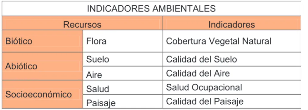 Tabla 7 Indicadores ambientales 