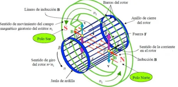 Fig. 1.2 Representación del principio de operación del motor asincrónico. 