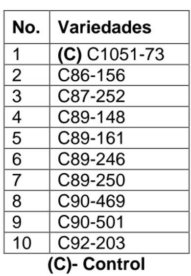 Tabla 1. Cultivares en estudio.  No.  Variedades  1  (C) C1051-73  2  C86-156  3  C87-252  4  C89-148  5  C89-161  6  C89-246  7  C89-250  8  C90-469  9  C90-501  10  C92-203  (C)- Control 