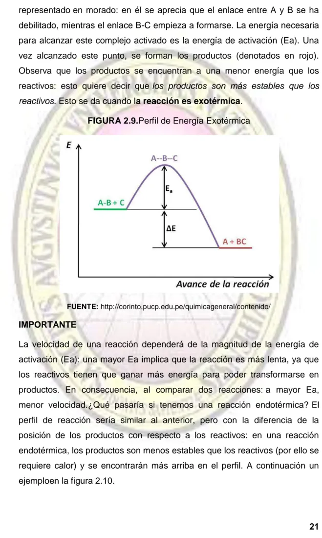 FIGURA 2.9.Perfil de Energía Exotérmica 