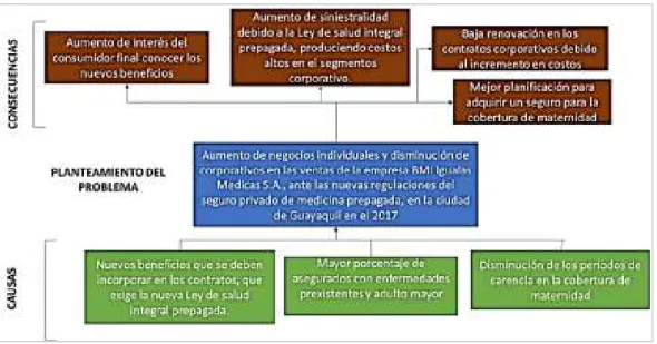 Figura 1. Árbol del Problema, Causa – Efecto. 