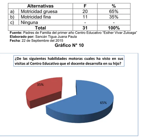 Gráfico N° 10 