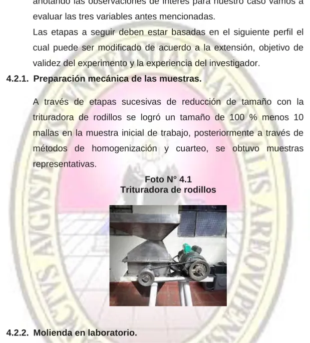 Foto N° 4.1  Trituradora de rodillos 