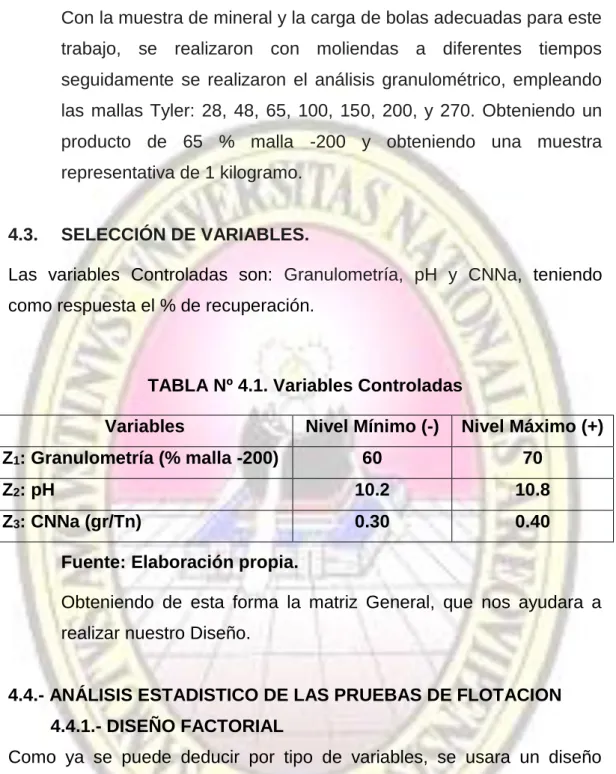 TABLA Nº 4.1. Variables Controladas 
