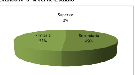 Gráfico Nº 3  Nivel de Estudio 