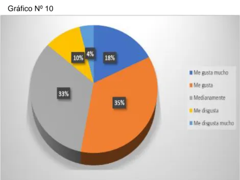 Gráfico Nº 10 