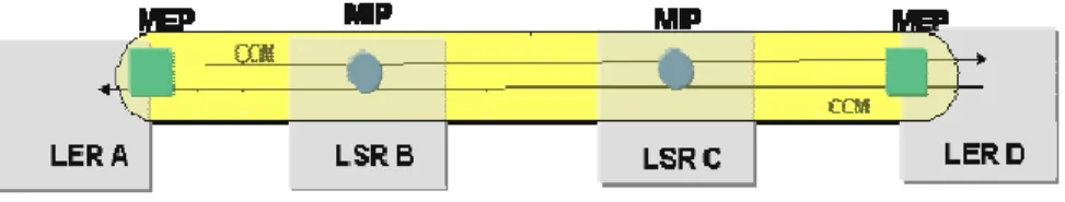 Figura 1.7. Flujo CCM [18]. 