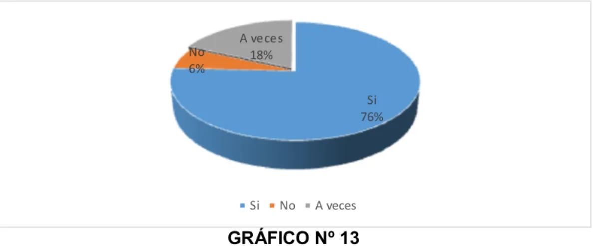 GRÁFICO Nº 13 