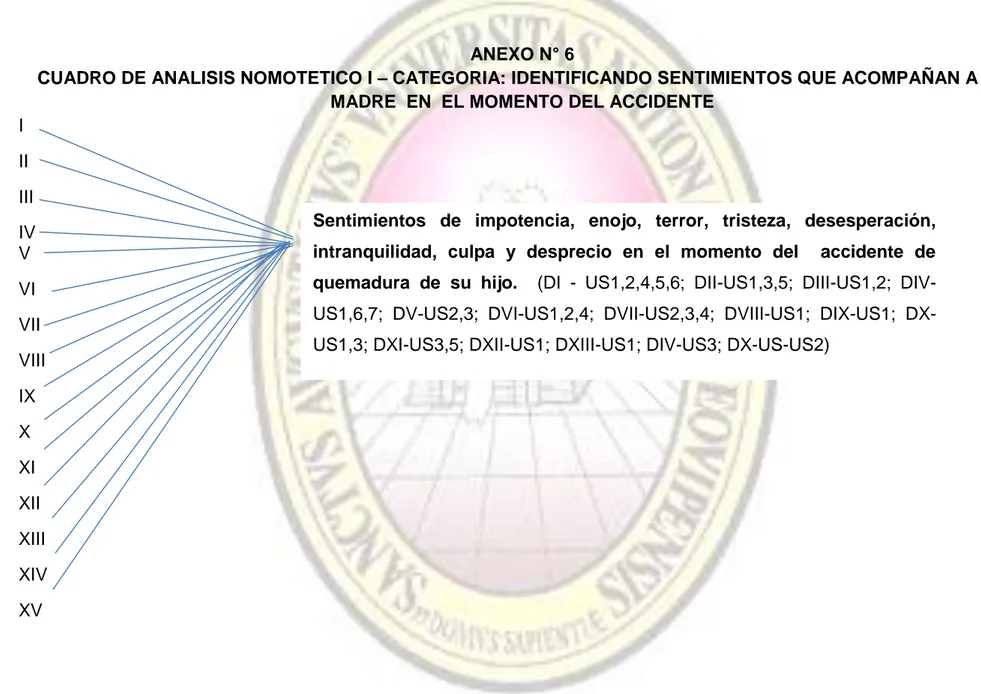 CUADRO DE ANALISIS NOMOTETICO I – CATEGORIA: IDENTIFICANDO SENTIMIENTOS QUE ACOMPAÑAN A LA  MADRE  EN  EL MOMENTO DEL ACCIDENTE 