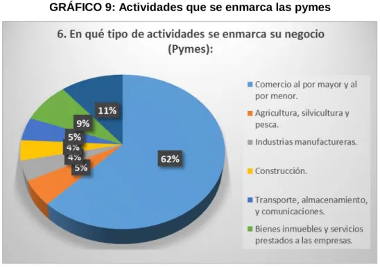 GRÁFICO 9: Actividades que se enmarca las pymes 