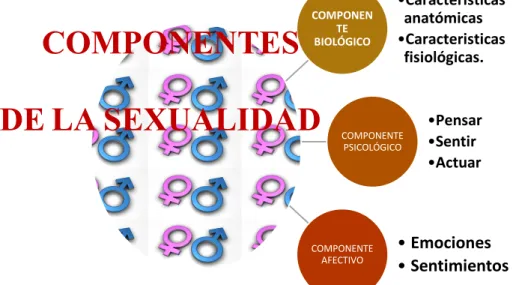 Gráfico 1: Componentes de la sexualidad 